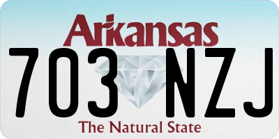 AR license plate 703NZJ