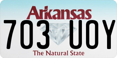 AR license plate 703UOY