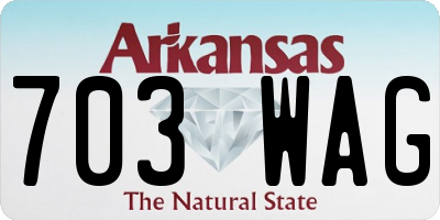 AR license plate 703WAG