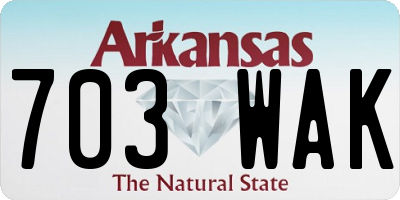 AR license plate 703WAK