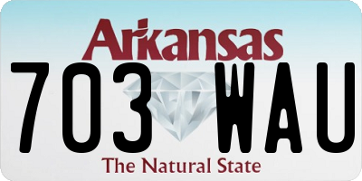 AR license plate 703WAU