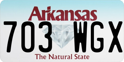 AR license plate 703WGX