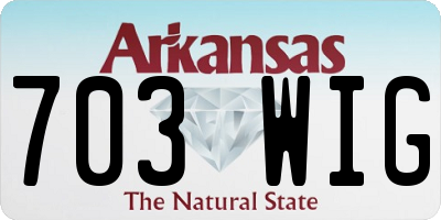 AR license plate 703WIG