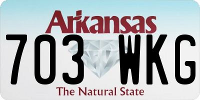 AR license plate 703WKG