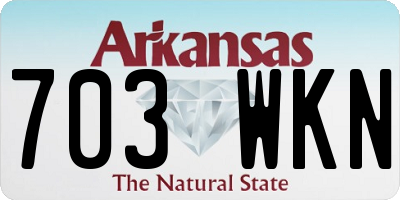 AR license plate 703WKN