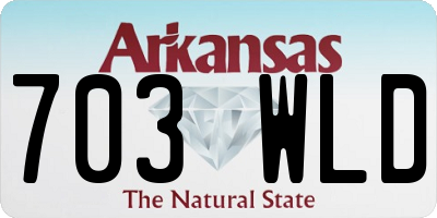 AR license plate 703WLD