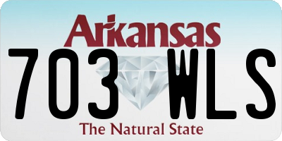 AR license plate 703WLS