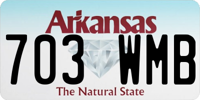 AR license plate 703WMB