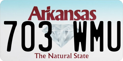 AR license plate 703WMU