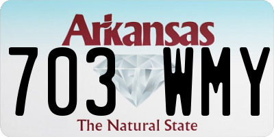 AR license plate 703WMY