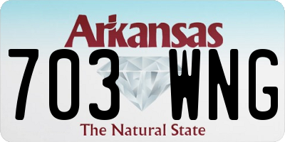 AR license plate 703WNG