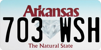 AR license plate 703WSH