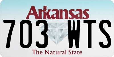 AR license plate 703WTS