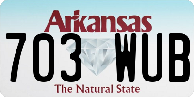 AR license plate 703WUB