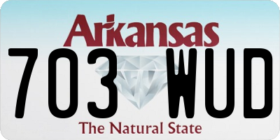 AR license plate 703WUD