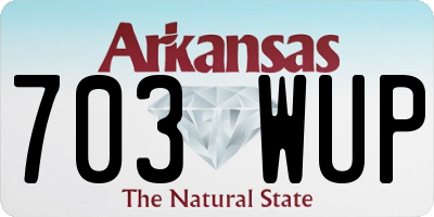 AR license plate 703WUP