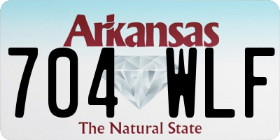 AR license plate 704WLF