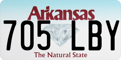 AR license plate 705LBY