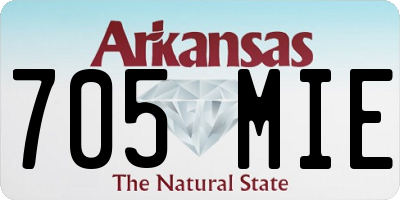 AR license plate 705MIE