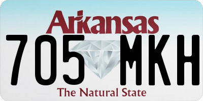 AR license plate 705MKH