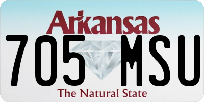 AR license plate 705MSU