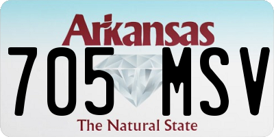 AR license plate 705MSV