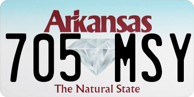 AR license plate 705MSY