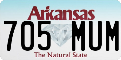 AR license plate 705MUM