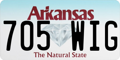 AR license plate 705WIG
