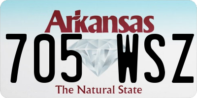 AR license plate 705WSZ