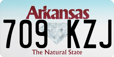 AR license plate 709KZJ