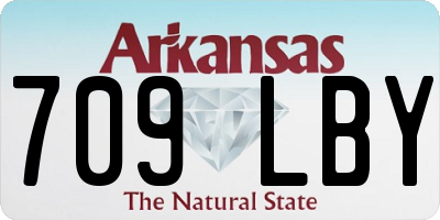 AR license plate 709LBY