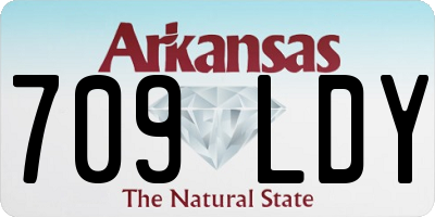 AR license plate 709LDY