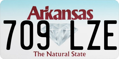 AR license plate 709LZE