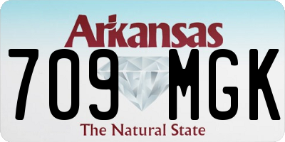 AR license plate 709MGK