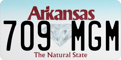 AR license plate 709MGM