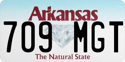 AR license plate 709MGT