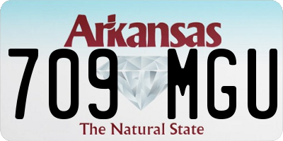 AR license plate 709MGU