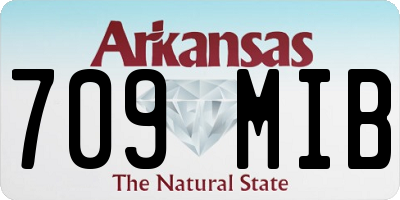 AR license plate 709MIB