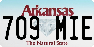 AR license plate 709MIE