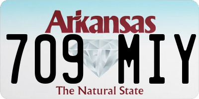 AR license plate 709MIY