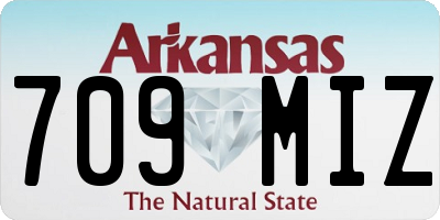 AR license plate 709MIZ