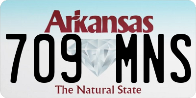 AR license plate 709MNS
