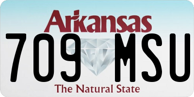 AR license plate 709MSU