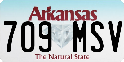 AR license plate 709MSV