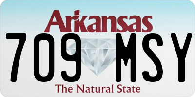 AR license plate 709MSY