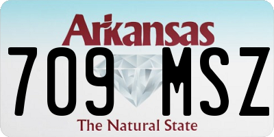 AR license plate 709MSZ