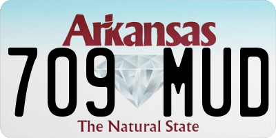 AR license plate 709MUD