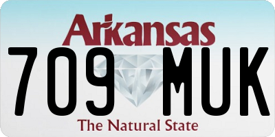 AR license plate 709MUK