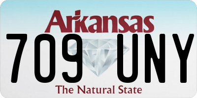 AR license plate 709UNY